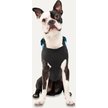 Show in main carousel: Goo-eez Reflective Hooded Waterproof Dog Raincoat, Baby Blue/Grey, X-Large slide 4 of 4