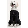 Show in main carousel: Goo-eez Splash Dog Pant, Black, Medium slide 2 of 7