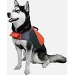 Show in main carousel: Goo-eez Dog Life Vest, Orange/Grey, X-Small slide 4 of 5