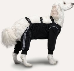 Goo-eez Splash Dog Pant, Black, Medium