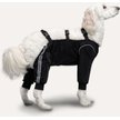 Show in main carousel: Goo-eez Splash Dog Pant, Black, Medium slide 1 of 7
