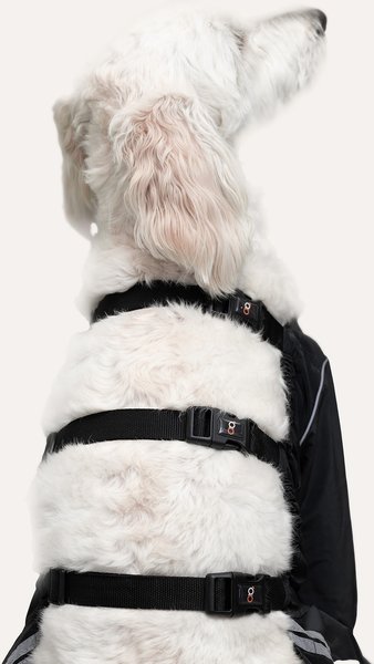 Show full view: Goo-eez Splash Dog Pant, Black, Medium slide 3 of 7