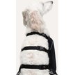 Show in main carousel: Goo-eez Splash Dog Pant, Black, Medium slide 3 of 7