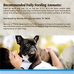 Show in main carousel: Merrick Lil' Plates Grain-Free Small Breed Wet Dog Food Surfin' + Turfin' Supper, 99-g tub, case of 12 slide 13 of 15