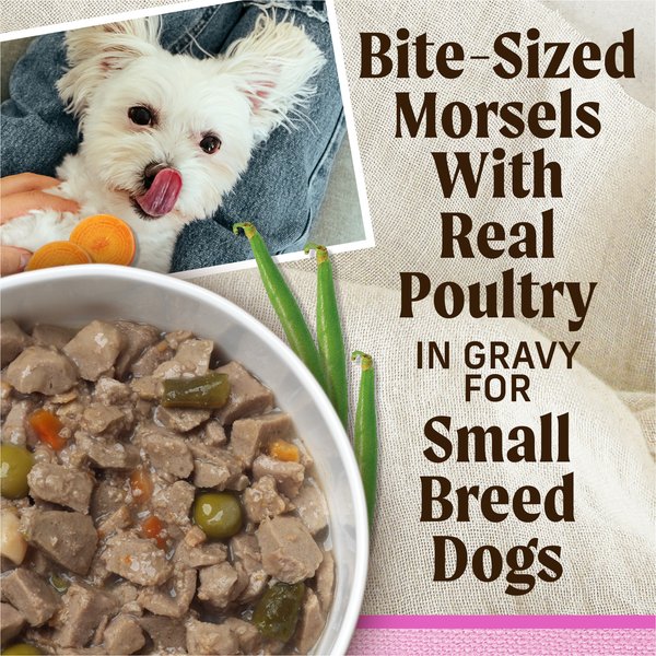 Show full view: Merrick Lil' Plates Grain-Free Small Breed Wet Dog Food Tiny Thanksgiving Day Dinner, 99-g tub, case of 12 slide 13 of 15