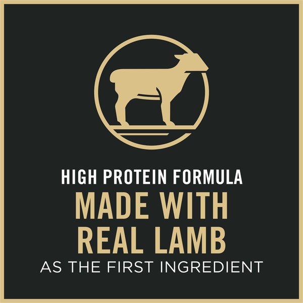 Show full view: Purina Pro Plan Sensitive Skin & Stomach Lamb & Rice Formula Dry Cat Food, 7.26-kg bag slide 6 of 11