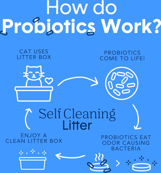 Show full view: Boxiecat Self-Cleaning Probiotic Clumping Clay Cat & Kitty Litter, 7.26-kg bag slide 9 of 10