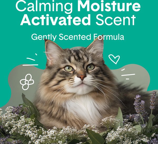 Show full view: Boxiecat Gently Scented Premium Clumping Clay Cat & Kitty Litter, 7.26-kg bag slide 3 of 12