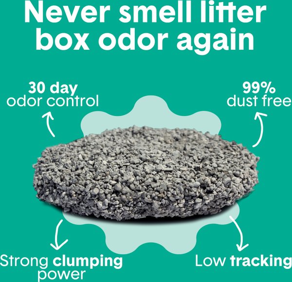 Show full view: Boxiecat Gently Scented Premium Clumping Clay Cat & Kitty Litter, 7.26-kg bag slide 5 of 12