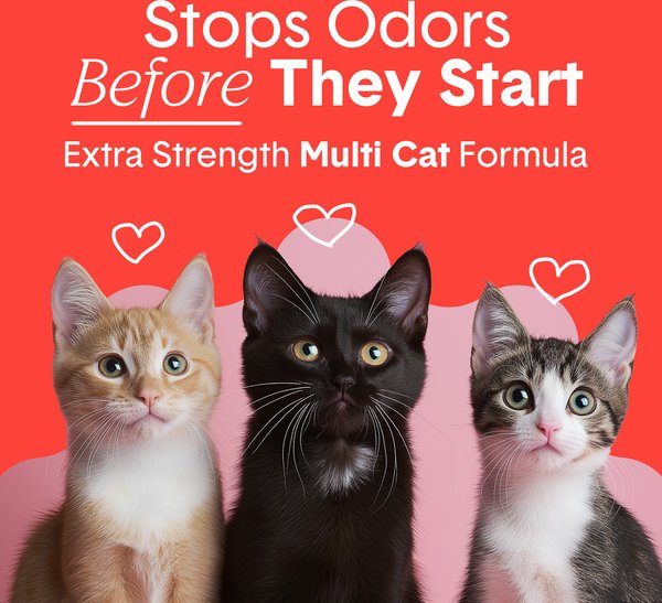 Show full view: Boxiecat Extra Strength Odour Control Clumping Clay Cat & Kitty Litter, 7.26-kg bag slide 3 of 12