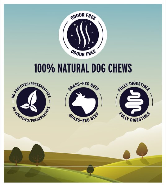 Show full view: Great Jack's Canada Made Bully Sticks Dog Treats, 5-7-in, 12 count slide 3 of 8