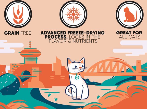 Show full view: Great Jack's Salmon Freeze-Dried Grain-Free Cat Treats, 1-oz bag slide 3 of 6