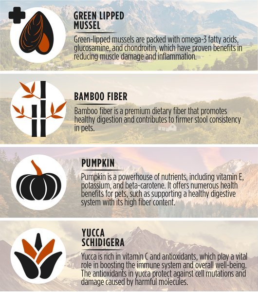 Show full view: Zeal Canada Gently Beef Recipe Grain-Free Air-Dried Dog Food, 454-g bag slide 6 of 8