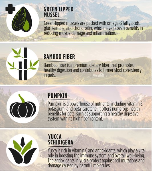 Show full view: Zeal Canada Grain-Free Gently Air-Dried Chicken Recipe Dog Food, 1-kg bag slide 5 of 7