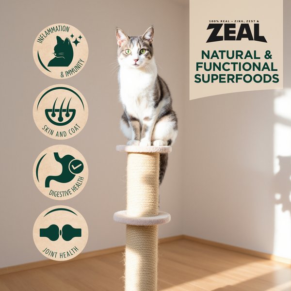 Show full view: Zeal Canada Salmon & Turkey Recipe Grain-Free Gently Air-Dried Cat Food, 14.1-oz bag slide 6 of 9