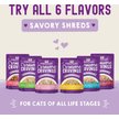 Show in main carousel: Stella & Chewy's Carnivore Cravings Duck & Chicken Flavored Shredded Wet Cat Food, 2.8-oz pouch, case of 12 slide 9 of 9