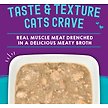 Show in main carousel: Stella & Chewy's Carnivore Cravings Salmon, Tuna & Mackerel Flavored Shredded Wet Cat Food, 2.8-oz pouch, case of 12 slide 2 of 9