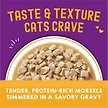 Show in main carousel: Stella & Chewy's Carnivore Cravings Morsels'N'Gravy Chicken & Beef Recipe Wet Cat Food, 2.8-oz pouch, case of 12 slide 2 of 9