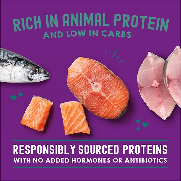 Show full view: Stella & Chewy's Carnivore Cravings Morsels'N'Gravy Salmon & Mackerel Recipe Wet Cat Food, 2.8-oz pouch, case of 12 slide 7 of 9