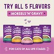 Show in main carousel: Stella & Chewy's Carnivore Cravings Morsels'N'Gravy Salmon & Mackerel Recipe Wet Cat Food, 2.8-oz pouch, case of 12 slide 4 of 9