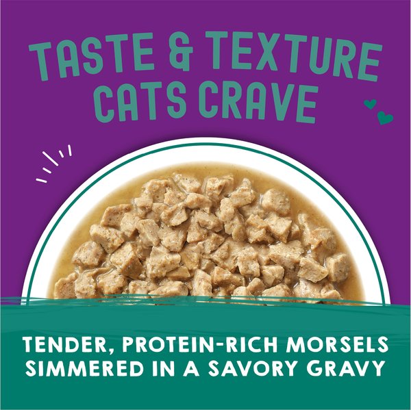 Show full view: Stella & Chewy's Carnivore Cravings Morsels'N'Gravy Salmon & Mackerel Recipe Wet Cat Food, 2.8-oz pouch, case of 12 slide 5 of 9