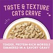Show in main carousel: Stella & Chewy's Carnivore Cravings Morsels'N'Gravy Chicken & Salmon Recipe Wet Cat Food, 2.8-oz pouch, case of 12 slide 2 of 9