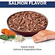 Show in main carousel: Hill's Science Diet Adult Indoor Salmon & Vegetables Stew Wet Cat Food, 2.8-oz pouch, case of 24 slide 4 of 9
