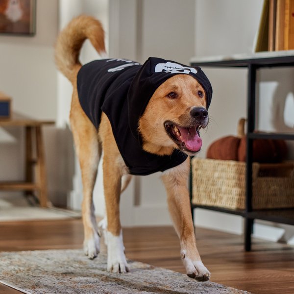 Show full view: Frisco Glow in the Dark Skeleton Dog & Cat Hoodie, XXX-Large slide 7 of 8