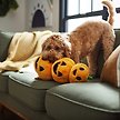 Show in main carousel: Frisco Halloween Jack-o-Lantern Tower Bottle Cruncher Plush Squeaky Dog Toy, Medium/Large slide 3 of 5