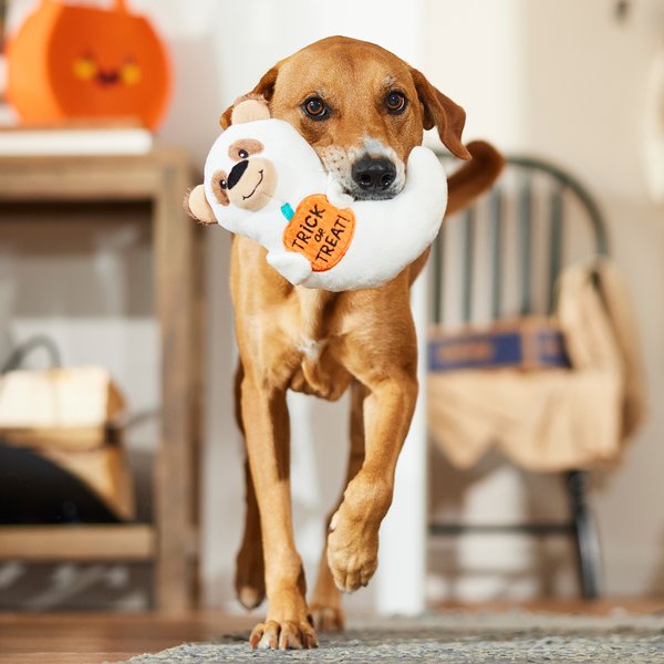 Show full view: Frisco Halloween Ghost Bear Plush Squeaky Dog Toy, Medium slide 5 of 7