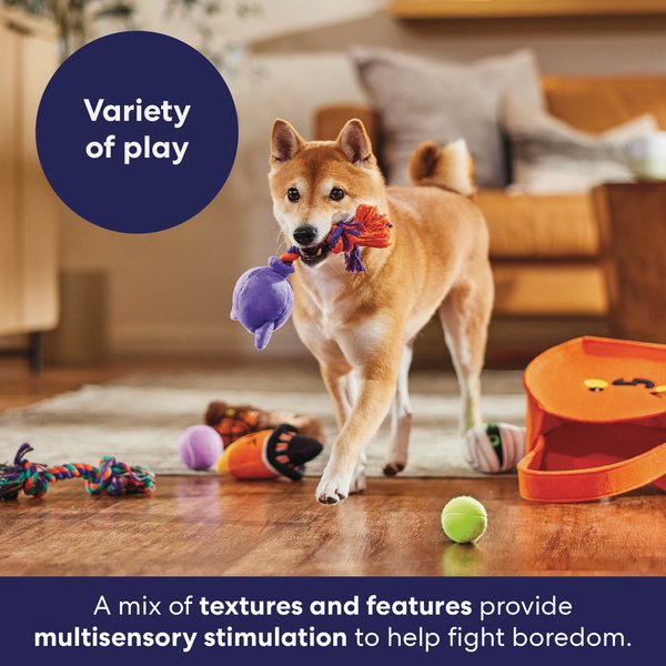 Show full view: Frisco Halloween Boo Basket Variety Pack Dog Toy, Medium slide 6 of 9