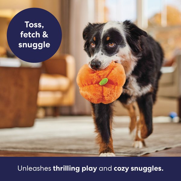 Show full view: Frisco Halloween Pumpkin Plush Squeaky Dog Toy, Medium/Large slide 4 of 7