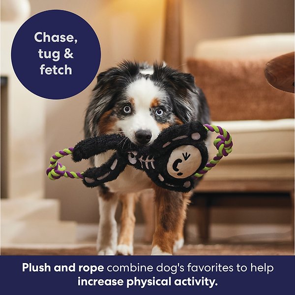 Show full view: Frisco Halloween Skeleton Plush with Rope Squeaky Dog Toy, Medium/Large slide 5 of 8