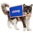 Show in main carousel: Frisco Halloween Chewy Box Dog & Cat Costume, Medium slide 2 of 10