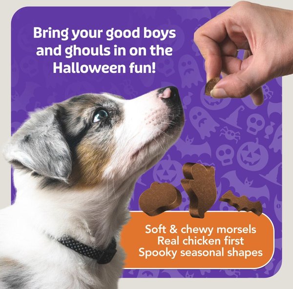 Show full view: Blue Buffalo Boo Bits Tasty Chicken Recipe Dog Treats, 4.5-oz bag slide 6 of 9