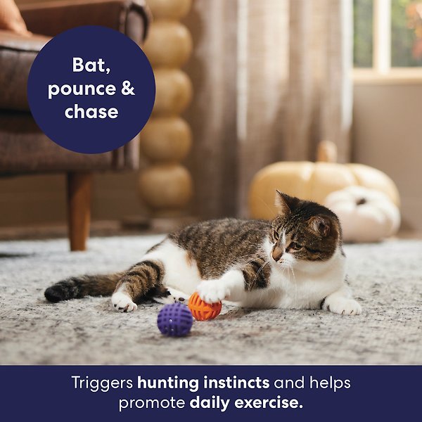 Show full view: Frisco Halloween Lattice Rubber Balls with Bell, Crinkle & Compressed Silvervine & Catnip Cat Toy, 2 count slide 3 of 4