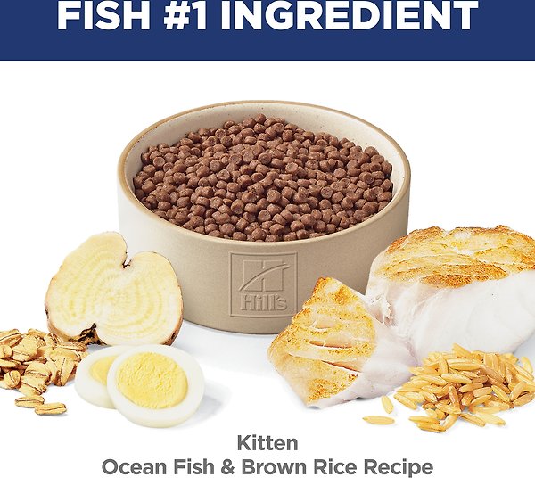 Show full view: Hill's Science Diet Kitten Dry Ocean Fish Brown Rice Recipe Dry Cat Food, 3.17-kg bag slide 6 of 10