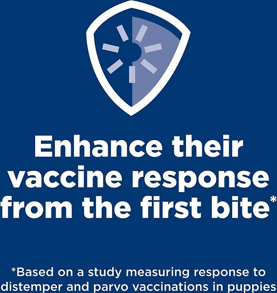 Show full view: Hill's Science Diet Puppy Healthy Development Small Bites Dry Dog Food, 5.67-kg bag slide 4 of 12