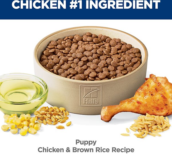 Show full view: Hill's Science Diet Puppy Chicken Meal Brown Rice Recipe Dry Dog Food, 7.03-kg bag slide 6 of 12