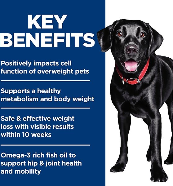 Show full view: Hill's Science Diet Perfect Weight Joint Support Chicken Flavored Large Brown Adult Dry Dog Food, 11.3-kg bag slide 5 of 10