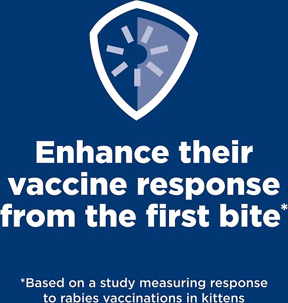 Show full view: Hill's Science Diet Kitten Dry Ocean Fish Brown Rice Recipe Dry Cat Food, 3.17-kg bag slide 4 of 10