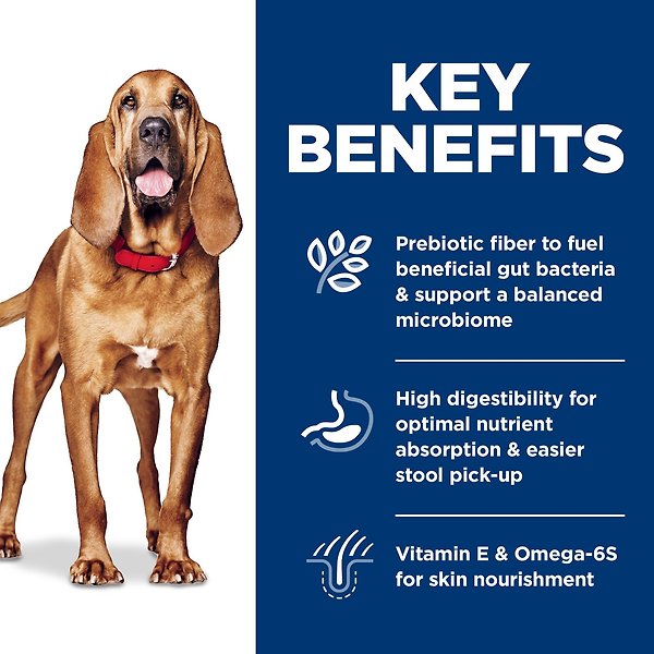 Show full view: Hill's Science Diet Adult Sensitive Stomach Sensitive Skin Large Brown Dry Dog Food, Chicken Recipe, 13.6-kg bag slide 4 of 11