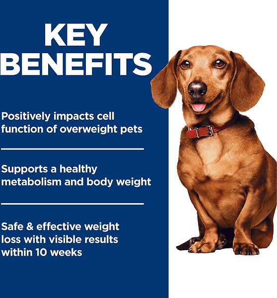 Show full view: Hill's Science Diet Adult SmalLargell Mini Perfect Weight Dry Dog Food, 5.67-kg bag slide 6 of 11