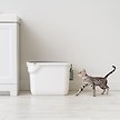 Show in main carousel: IRIS USA Square Top Entry Cat Litter Box with Scoop, Large, White slide 6 of 10