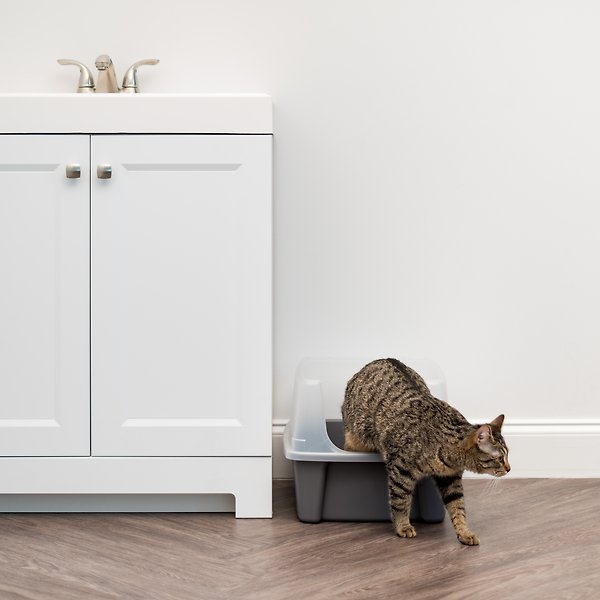Show full view: IRIS USA Large Cat Litter Box with Scatter Shield & Scoop, Dark Gray slide 8 of 8