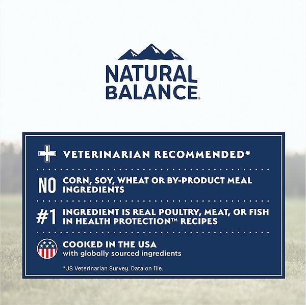 Show full view: Natural Balance Health Protection Small Breed Adult Real Chicken, Brown Rice & Pumpkin Dry Dog Food, 4-lb bag slide 7 of 9