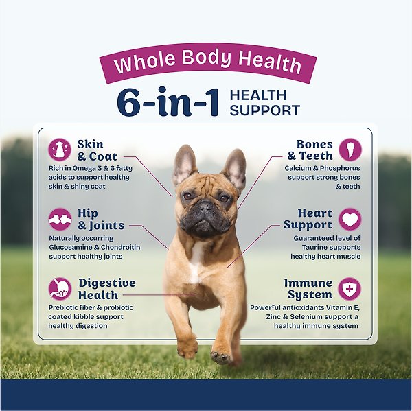 Show full view: Natural Balance Health Protection Small Breed Adult Real Chicken, Brown Rice & Pumpkin Dry Dog Food, 12-lb bag slide 4 of 9