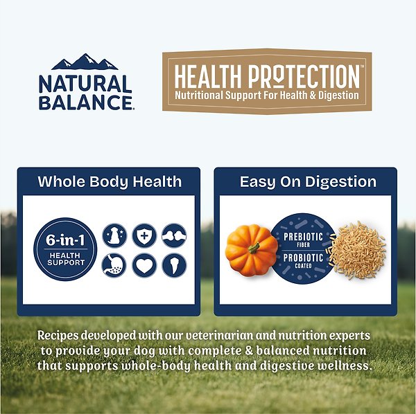 Show full view: Natural Balance Health Protection Adult Real Lamb, Brown Rice & Pumpkin Dry Dog Food, 24-lb bag slide 3 of 9