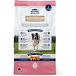 Show in main carousel: Natural Balance Health Protection Adult Real Salmon, Brown Rice & Pumpkin Dry Dog Food, 4-lb bag slide 2 of 9