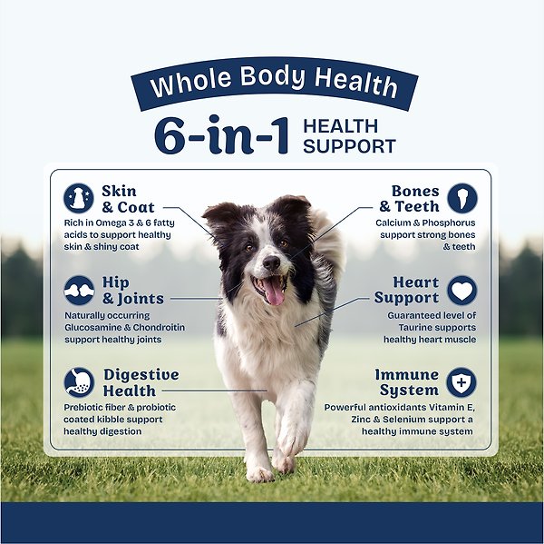 Show full view: Natural Balance Health Protection Adult Real Salmon, Brown Rice & Pumpkin Dry Dog Food, 22-lb bag slide 4 of 9